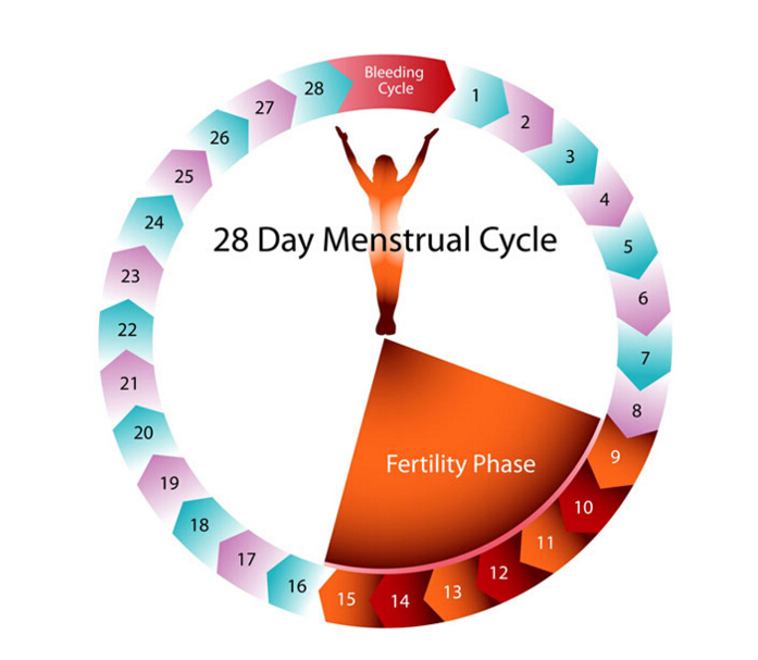 Having Sex A Week Before Your Period 33