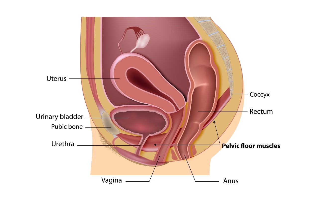 Pressure In Vagina While Pregnant 81