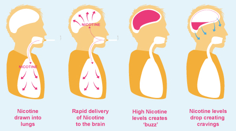 nicotine does addiction body brain withdrawal eviction