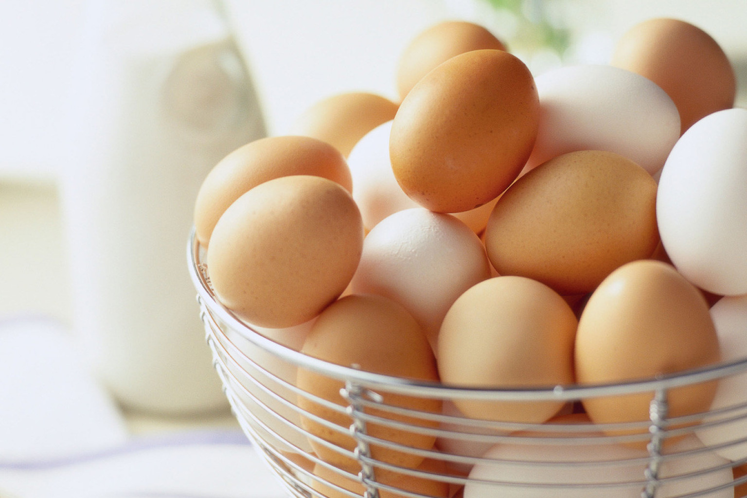 Do Eggs Make You Fat 119