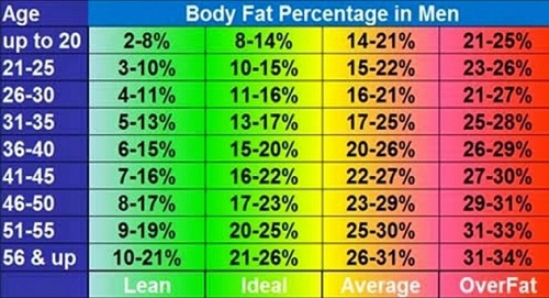 Body Fat Ratio Chart