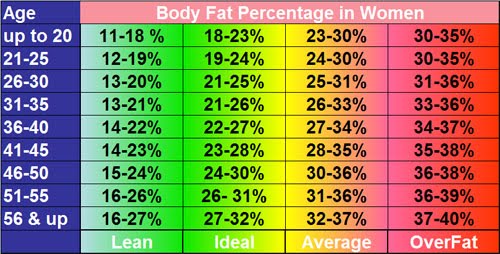 body fat percentage in age